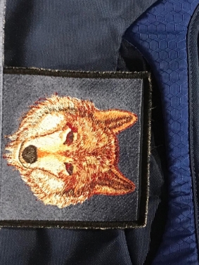 Eagle Scout Wolf Patches