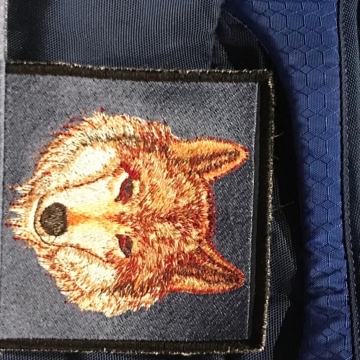 Eagle Scout Wolf Patches